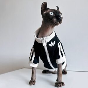 Sport Zip Jacket Casual Sphynx Cat Clothes - PIKAPIKA